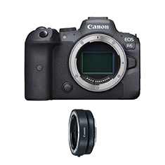 Canon EOS R6 Mirrorless Digital Camera with Canon Mount Adapter EF-EOS R